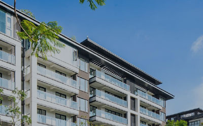 �Y�a�u���̘I�ʄt�������Ӯa